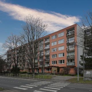 Pronájem bytu 1+1 40 m² Kralupy nad Vltavou, Přemyslova