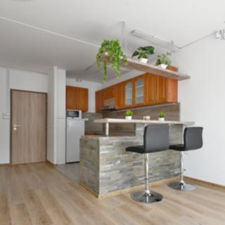 Pronájem bytu 2+kk 42 m² Praha