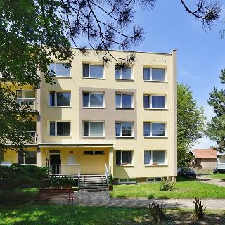 Prodej bytu 3+1 68 m² Budyně nad Ohří, Poplužní