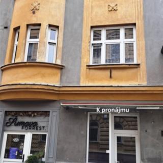 Pronájem obchodu 22 m² Strakonice, Lidická