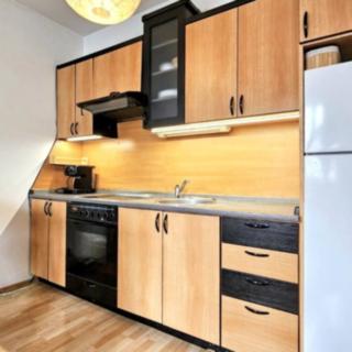 Pronájem bytu 1+kk a garsoniéry 35 m² Brno Žebětín, Za Kněžským hájkem