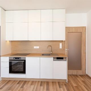 Pronájem bytu 2+kk 48 m² Praha, Karla Guta