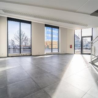 Pronájem kanceláře 232 m² Brno, Mlýnská