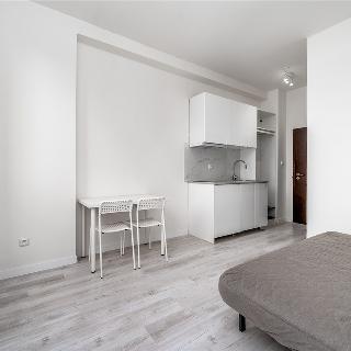 Pronájem bytu 1+kk a garsoniéry 17 m² Sázava, Poznaňská