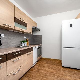 Pronájem bytu 1+1 47 m² Praha, U Slovanky