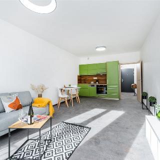 Pronájem bytu 1+kk a garsoniéry 33 m² Praha, Plzeňská