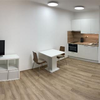 Pronájem bytu 1+kk a garsoniéry 24 m² Praha, Vavřenova