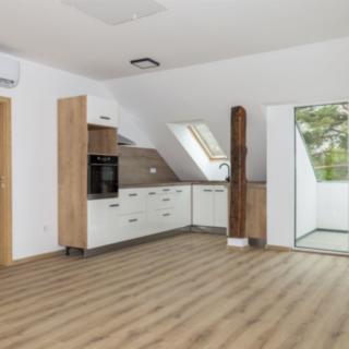 Prodej bytu 2+kk 93 m² Bravantice
