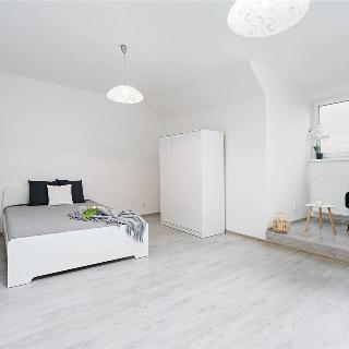 Pronájem bytu 2+1 18 m² Plzeň, Na Belánce