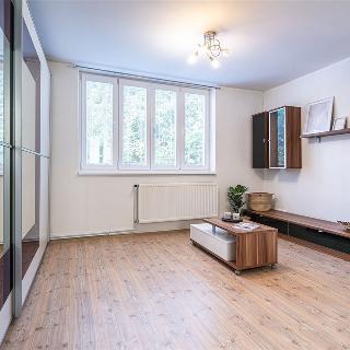 Prodej bytu 1+kk a garsoniéry 25 m² Brno, Gallašova