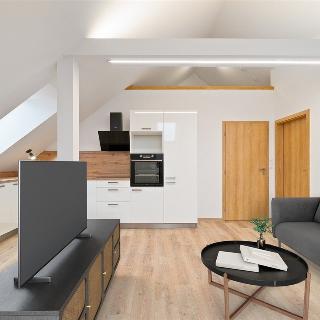 Prodej bytu 3+kk 53 m² Ostrava, Koksární