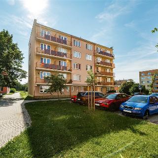 Prodej bytu 3+1 81 m² Bechyně