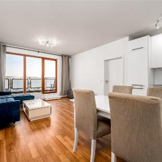 Pronájem bytu 2+kk 56 m² Praha, Márova