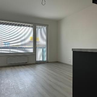 Pronájem bytu 1+kk a garsoniéry 28 m² Praha, Kolbenova