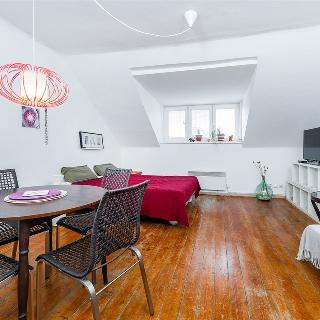 Pronájem bytu 1+kk a garsoniéry 33 m² Praha, Na Mlejnku