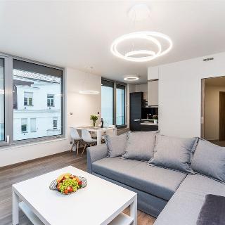 Pronájem bytu 2+kk 55 m² Praha, Kurta Konráda