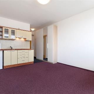 Pronájem bytu 1+kk a garsoniéry 23 m² Frýdek-Místek, Ostravská