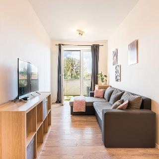 Pronájem bytu 2+1 49 m² Brno, Křižíkova