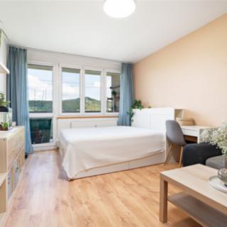 Prodej bytu 3+1 63 m² Starý Plzenec