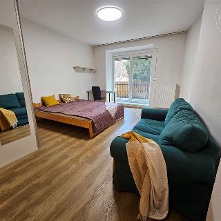 Pronájem bytu 1+kk a garsoniéry 43 m² Praha, Přípotoční