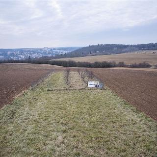 Prodej zemědělské půdy 1 321 m² Brno, Palcary