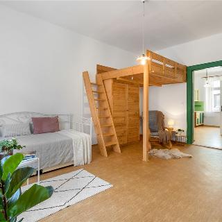 Pronájem bytu 2+kk 43 m² Plzeň, Čechova