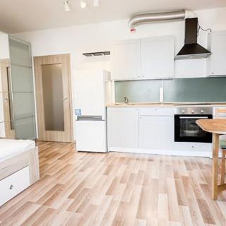 Pronájem bytu 1+kk a garsoniéry 35 m² Praha, Jindřicha Bubeníčka