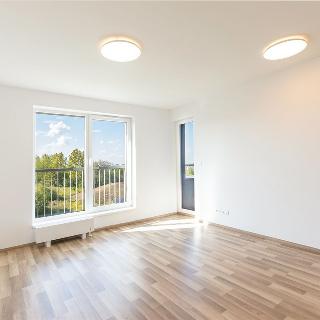 Pronájem bytu 2+kk 48 m² Praha, Karla Guta