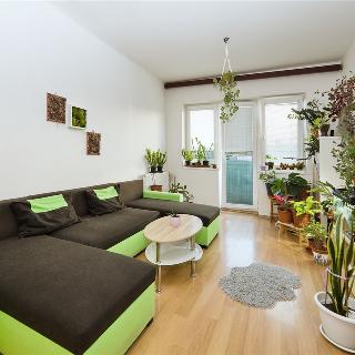 Pronájem bytu 2+1 57 m² Praha, Silurská