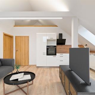 Prodej bytu 3+kk 46 m² Ostrava, Koksární