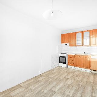 Prodej bytu 4+kk 68 m² Praha, Litvínovská