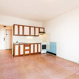 Prodej bytu 1+1 46 m² Brno