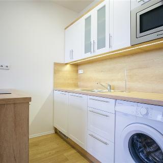 Pronájem bytu 1+kk a garsoniéry 28 m² Frýdek-Místek