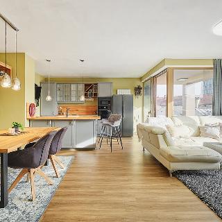 Prodej bytu 4+kk 144 m² Plzeň, Pallova