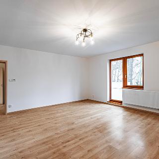 Pronájem bytu 1+1 58 m² Praha, Řeporyjské náměstí