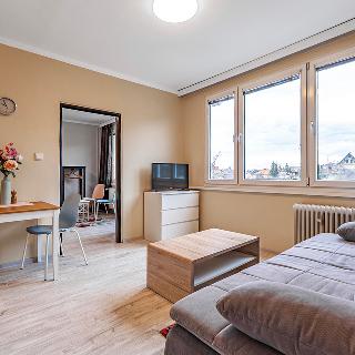 Prodej bytu 2+kk 36 m² Český Krumlov, 