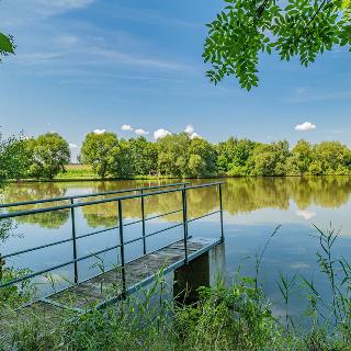 Prodej vodní plochy 70 890 m² Malešov