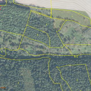 Prodej lesa 110 000 m² Jindřichovice