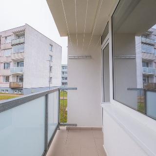 Prodej bytu 2+1 63 m² Čížkovice, Na sídlišti