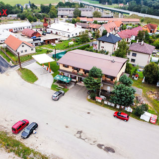 Prodej hotelu a penzionu 550 m² Heřmaničky, 