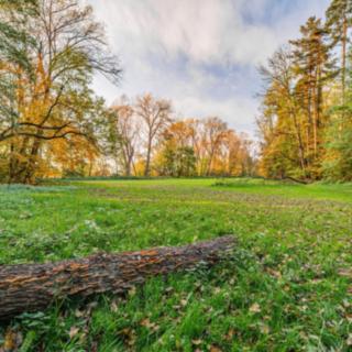 Prodej louky 5000 m² Praha