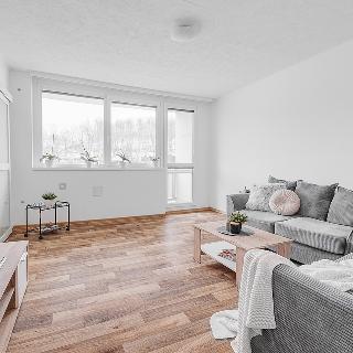 Prodej bytu 3+1 75 m² Teplice, Březová