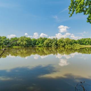 Prodej vodní plochy 70890 m² Malešov
