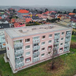 Prodej bytu 2+1 63 m² Čížkovice, Na sídlišti