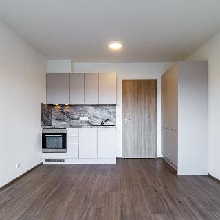 Pronájem bytu 1+kk a garsoniéry 26 m² Praha, Krnkova