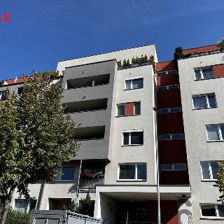 Pronájem bytu 2+kk 53 m² Praha, Kytlická