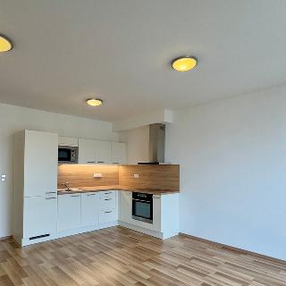 Pronájem bytu 2+kk 51 m² Praha, Oty Bubeníčka