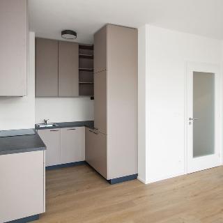 Pronájem bytu 2+kk 50 m² Praha, Hasilova