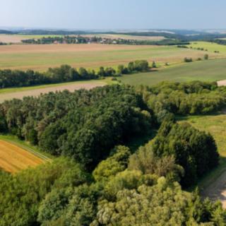 Prodej ostatního pozemku 11 138 m² Panoší Újezd