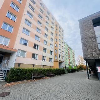 Pronájem bytu 1+1 30 m² Olomouc, Nedvědova